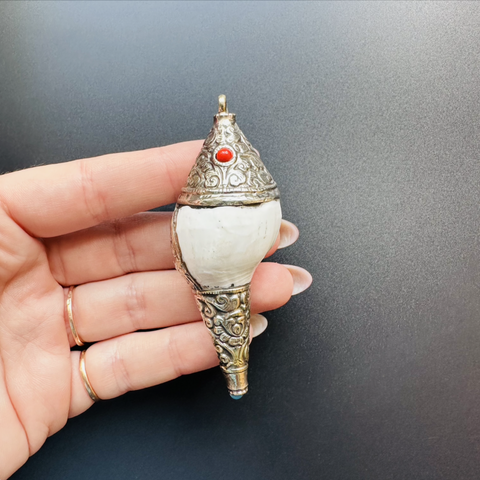 Ракушка Лакшми подвес